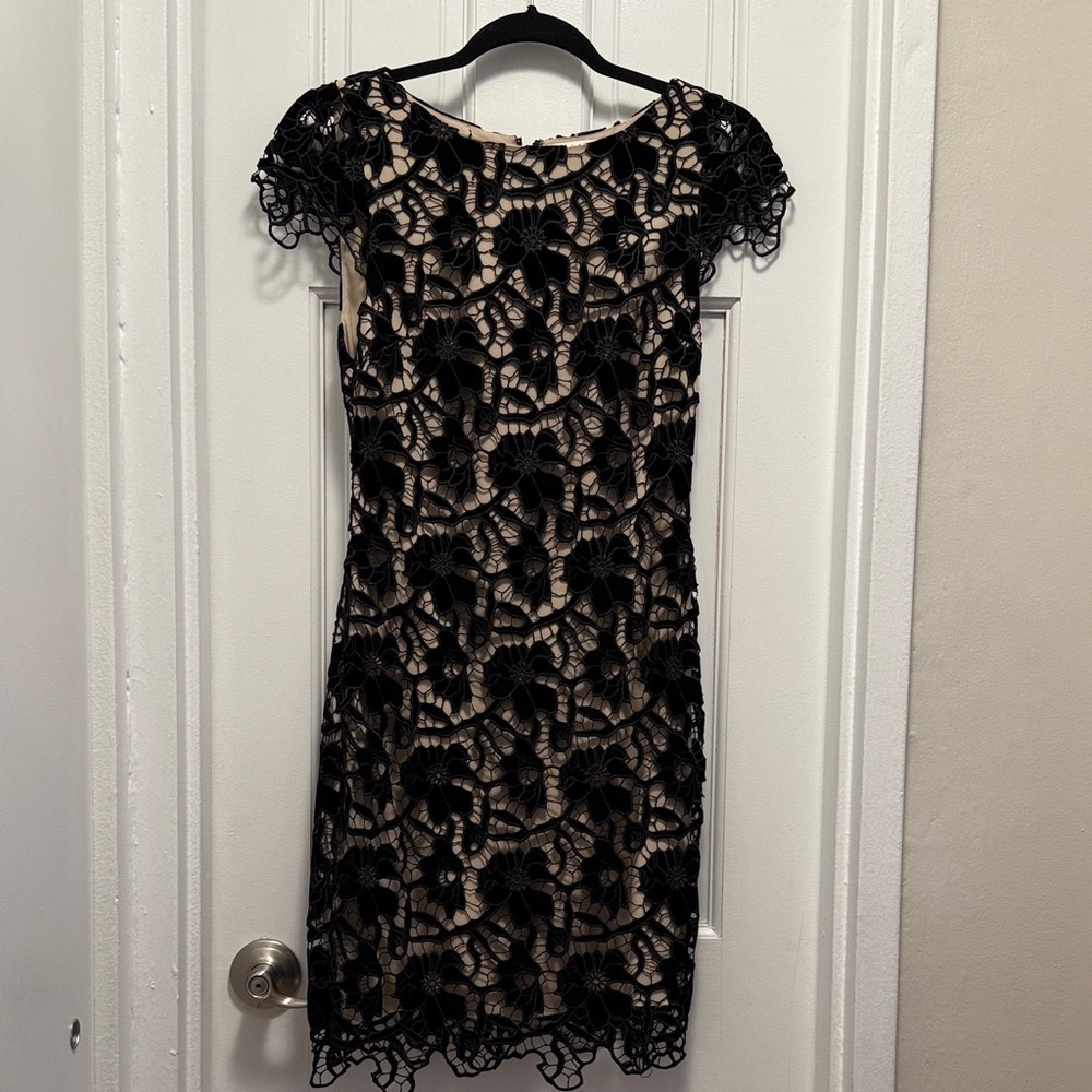Chic Black Velvet Lace Mini Dress